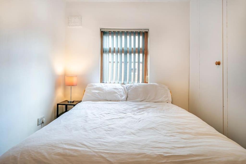 בלפסט Modern 3 Bedroom House Close To Ferry And City Centre מראה חיצוני תמונה